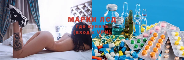 стаф Бородино