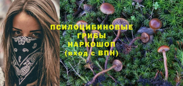 гидропоника Лагань